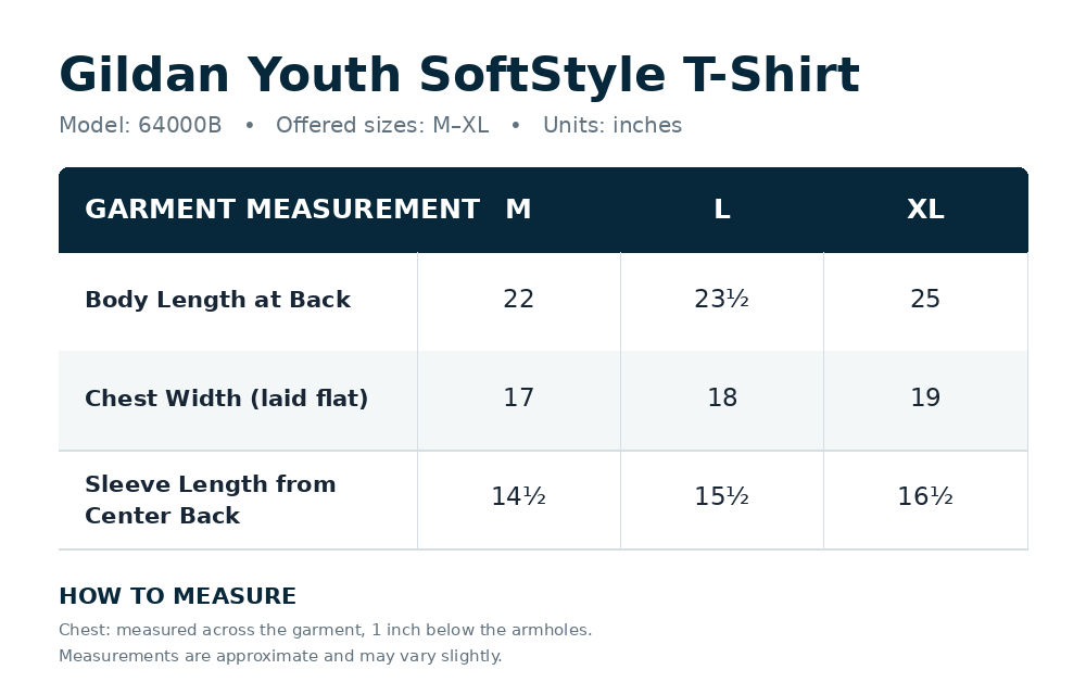 Porchfest 2026 Frog Youth Tee
